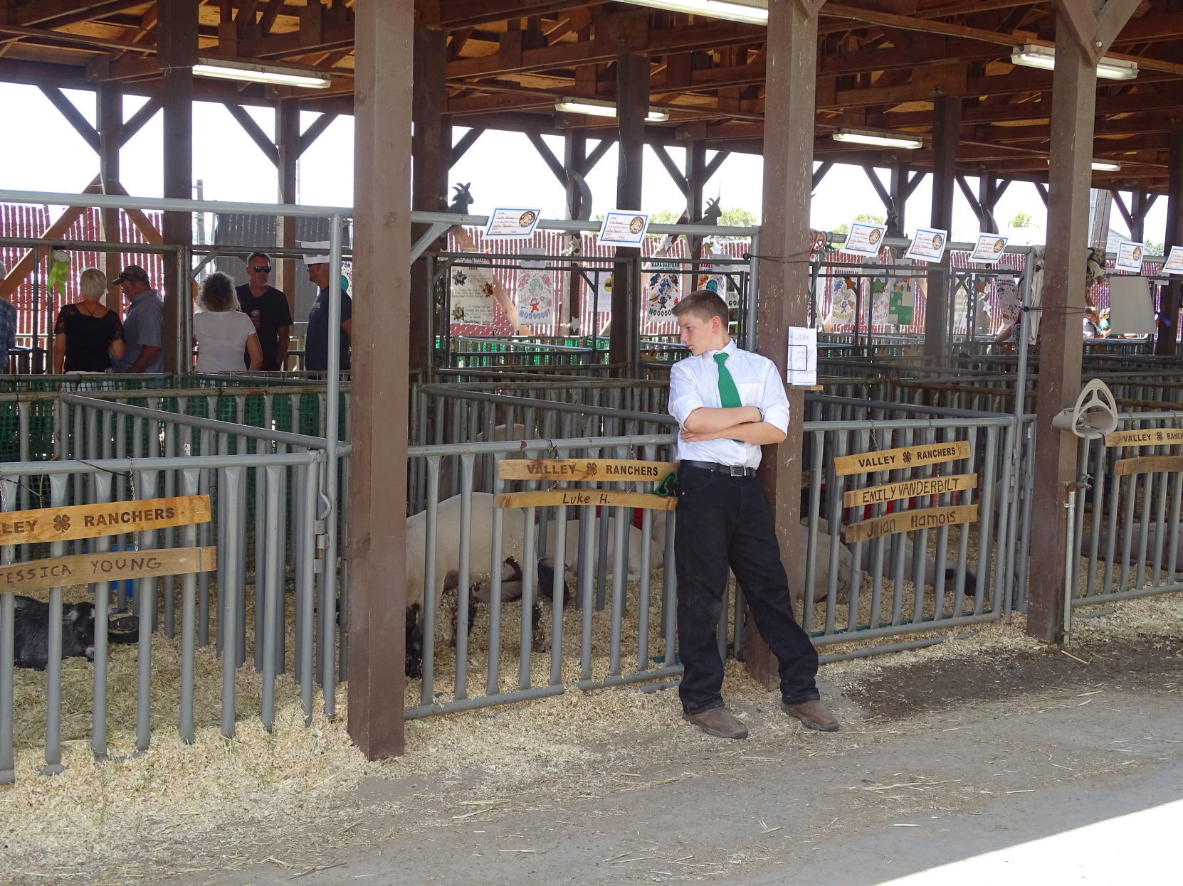 Junior Livestock Auction 2019